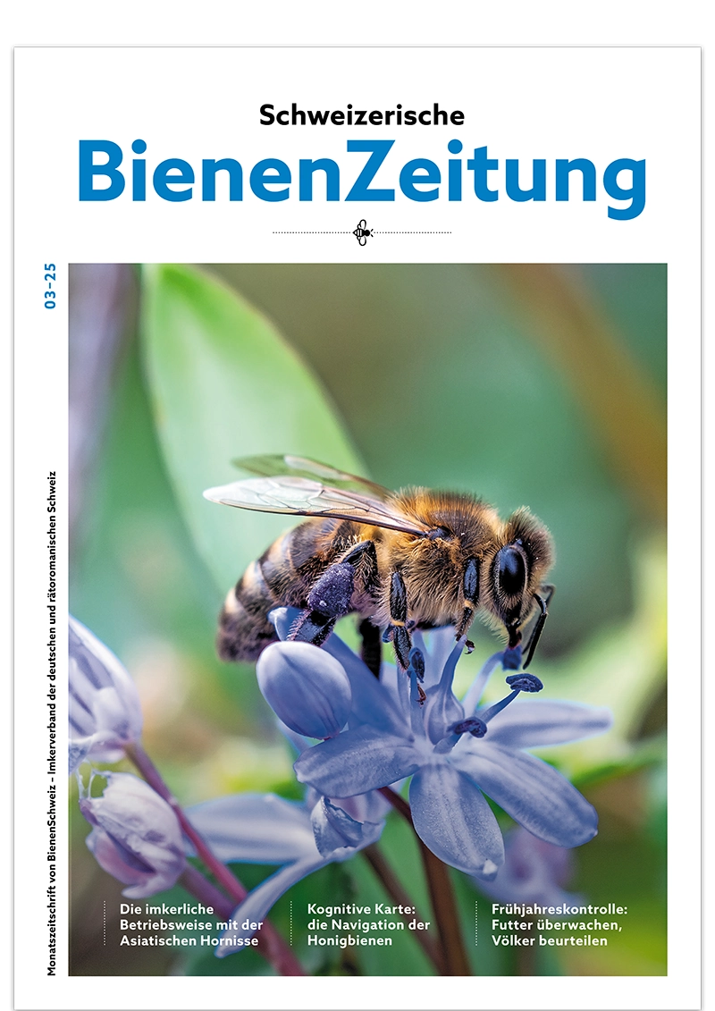 AVD_Layout_Titel2