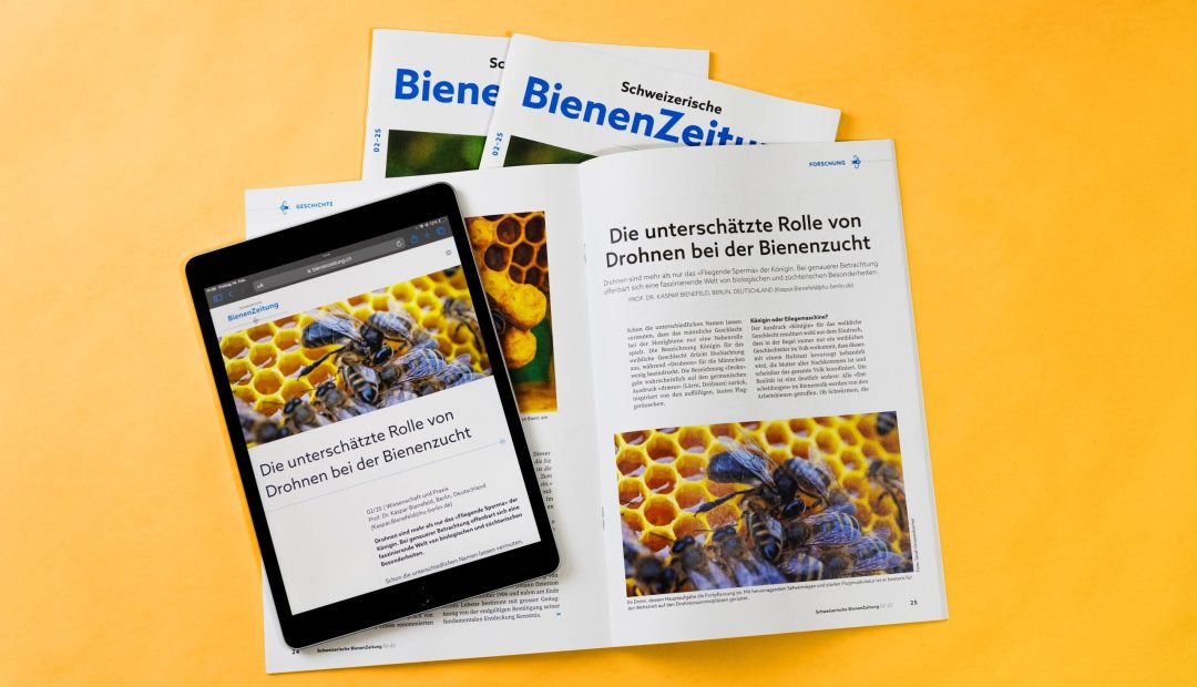 Multichannel Publishing AVD GOLDACH AG